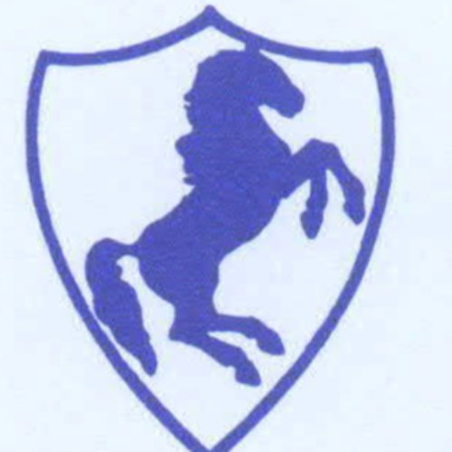 Cavalleri e C.