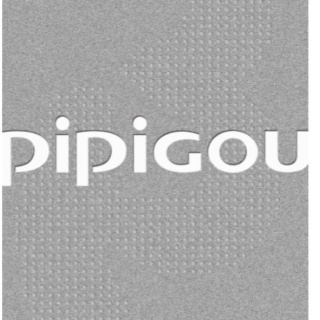 Huzhou Pipigou Textile Technology Co., Ltd