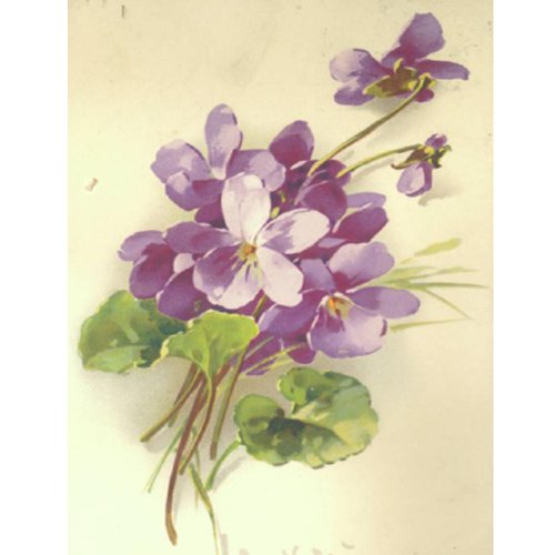 Shabby Chic Vintage