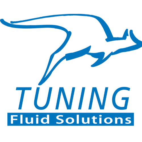 TUNING FRANCE SAS