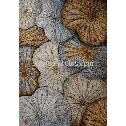 Tableaux sur dentelle de Lotus