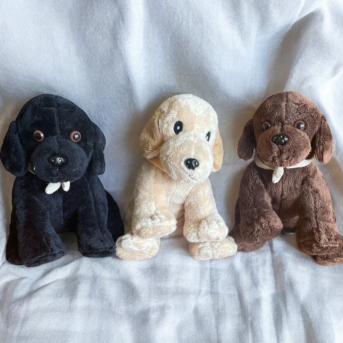 Peluches Labrador
