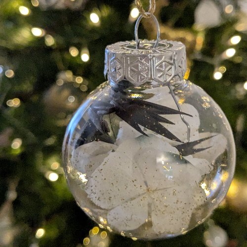 Boules de Noël