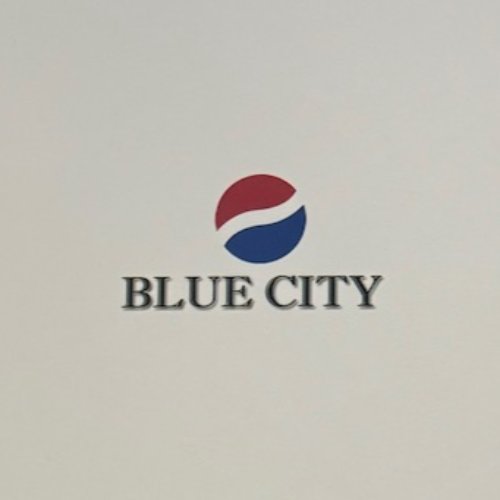 BLUE CITY TEXTILE INT'L