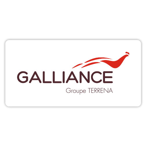 GALLIANCE DISTRIBUTION