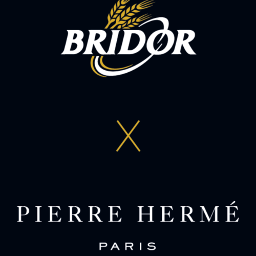 BRIDOR X PIERRE HERME