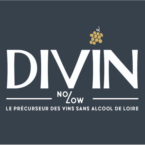 DIVIN