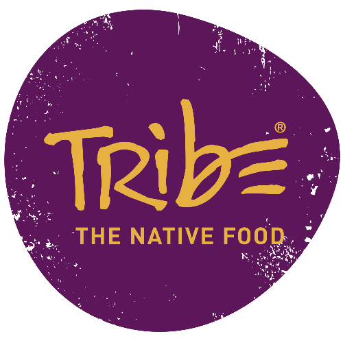 GLOBALTRIBE LDA
