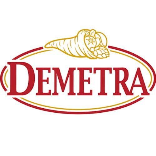 DEMETRA SRL