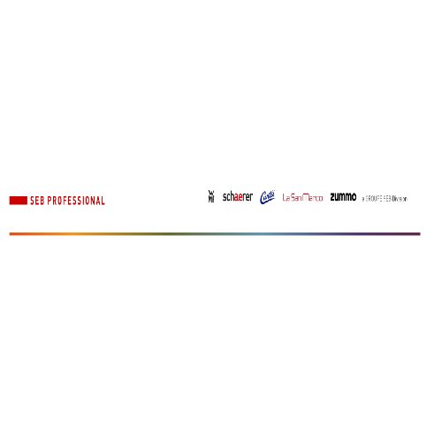 SEB PROFESSIONAL