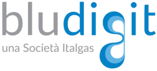 Bludigit 