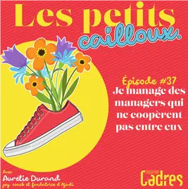 Les petits cailloux - Episode 37 : Je manage des managers qui ne coopèrent pas entre eux