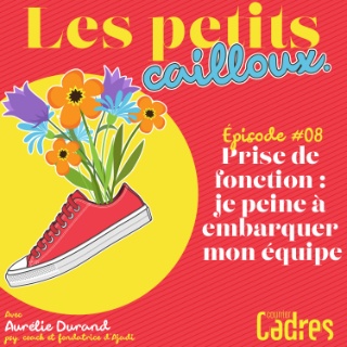 Les petits cailloux - Episode 8 : Prise de fonction : je peine à embarquer mon équipe