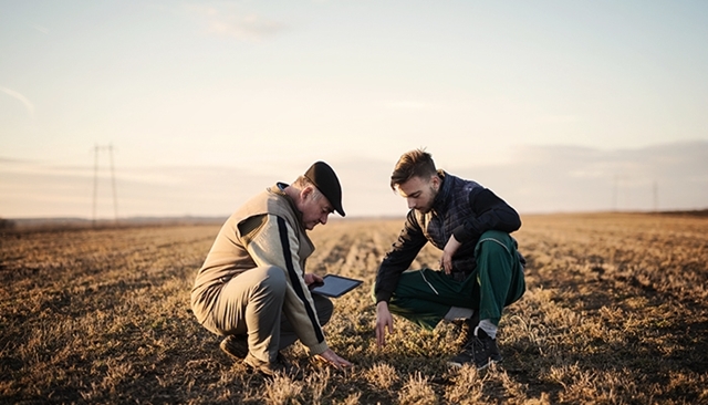 Agriculture de précision