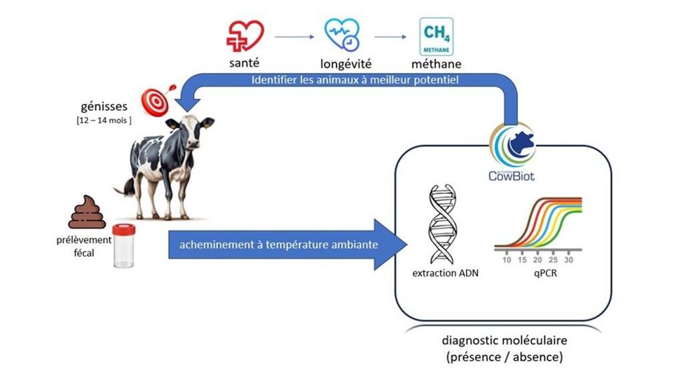 COWBIOT®