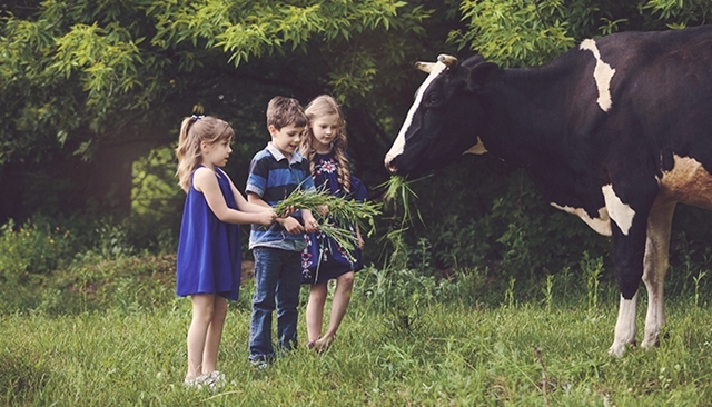 L'agrotourisme