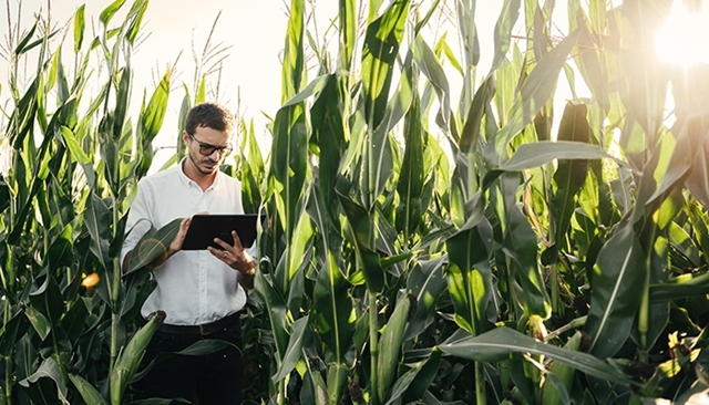 Agriculture de précision