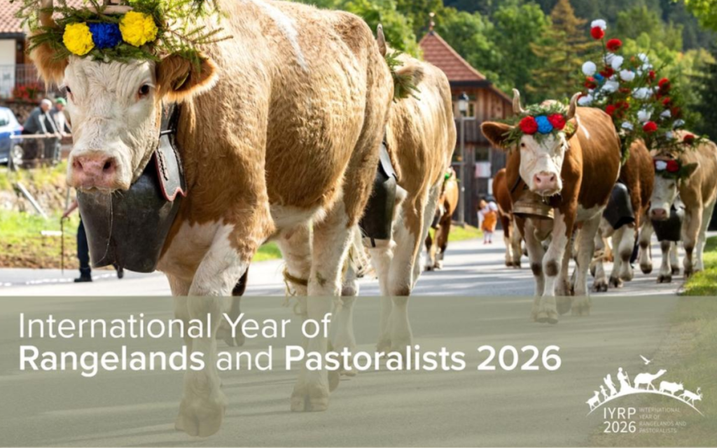 2026, année internationale du pastoralisme.