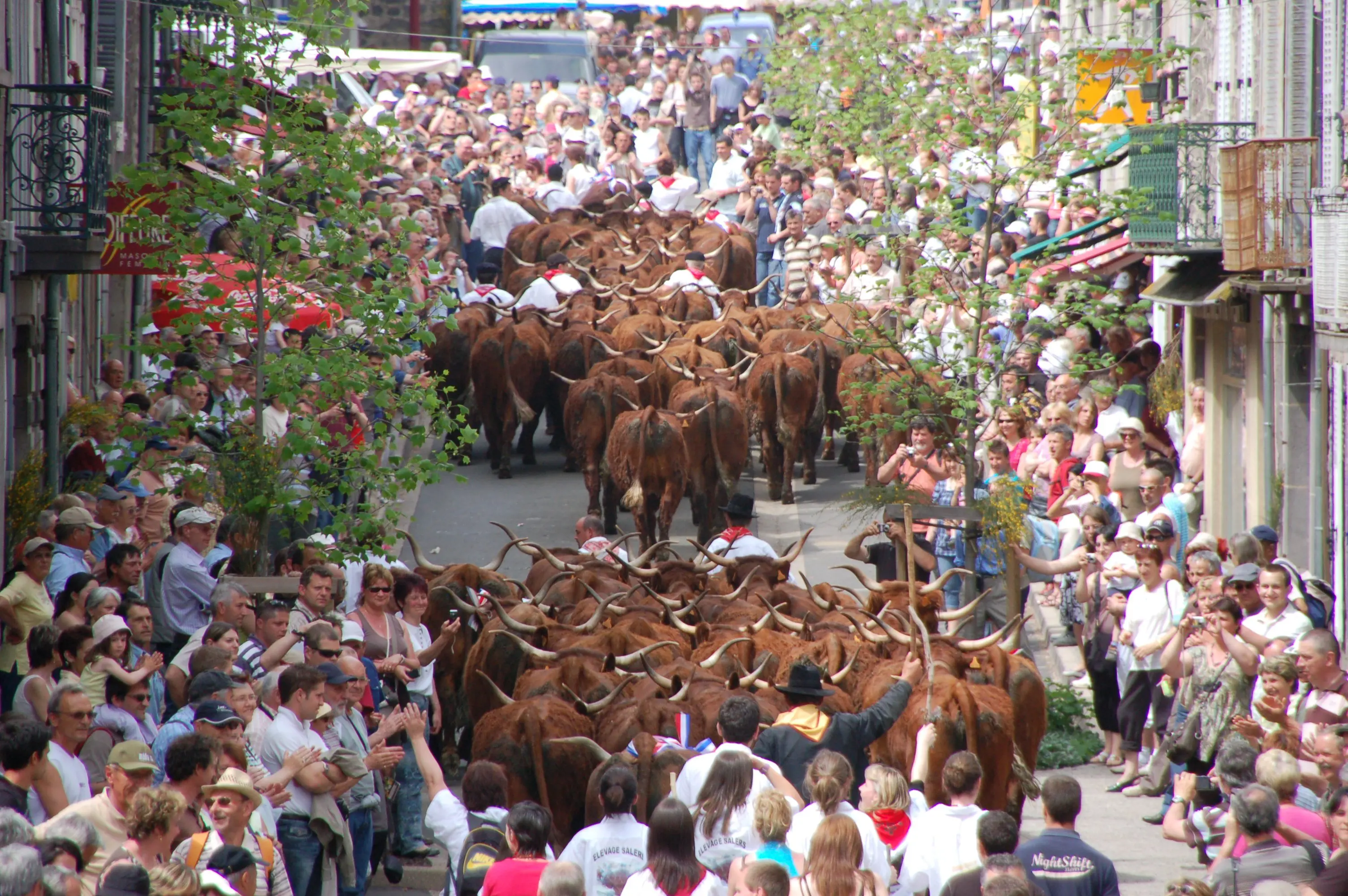 Fête de l'estive à Allanche dans le Cantal.