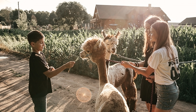 L'agrotourisme