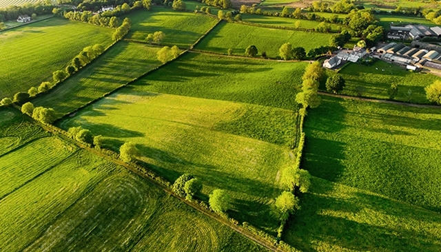 Agroforesterie