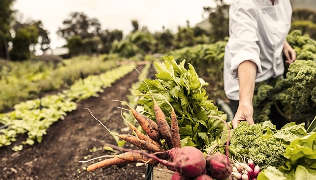 Agriculture