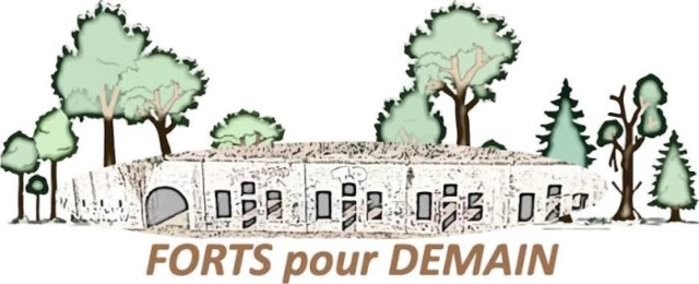 Let's grow the community forest-garden together: picking, pruning, jams, mulching, watering, clearing...!