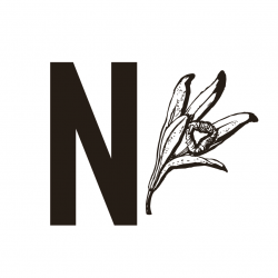 NOROHY