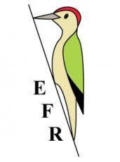 Environnement Fausses-Reposes