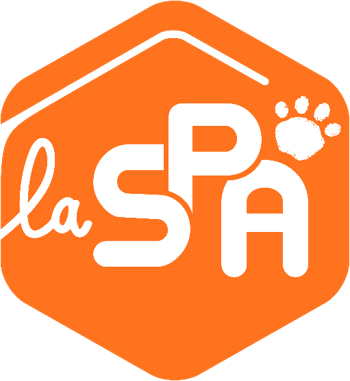 SPA des Sables d'Olonne