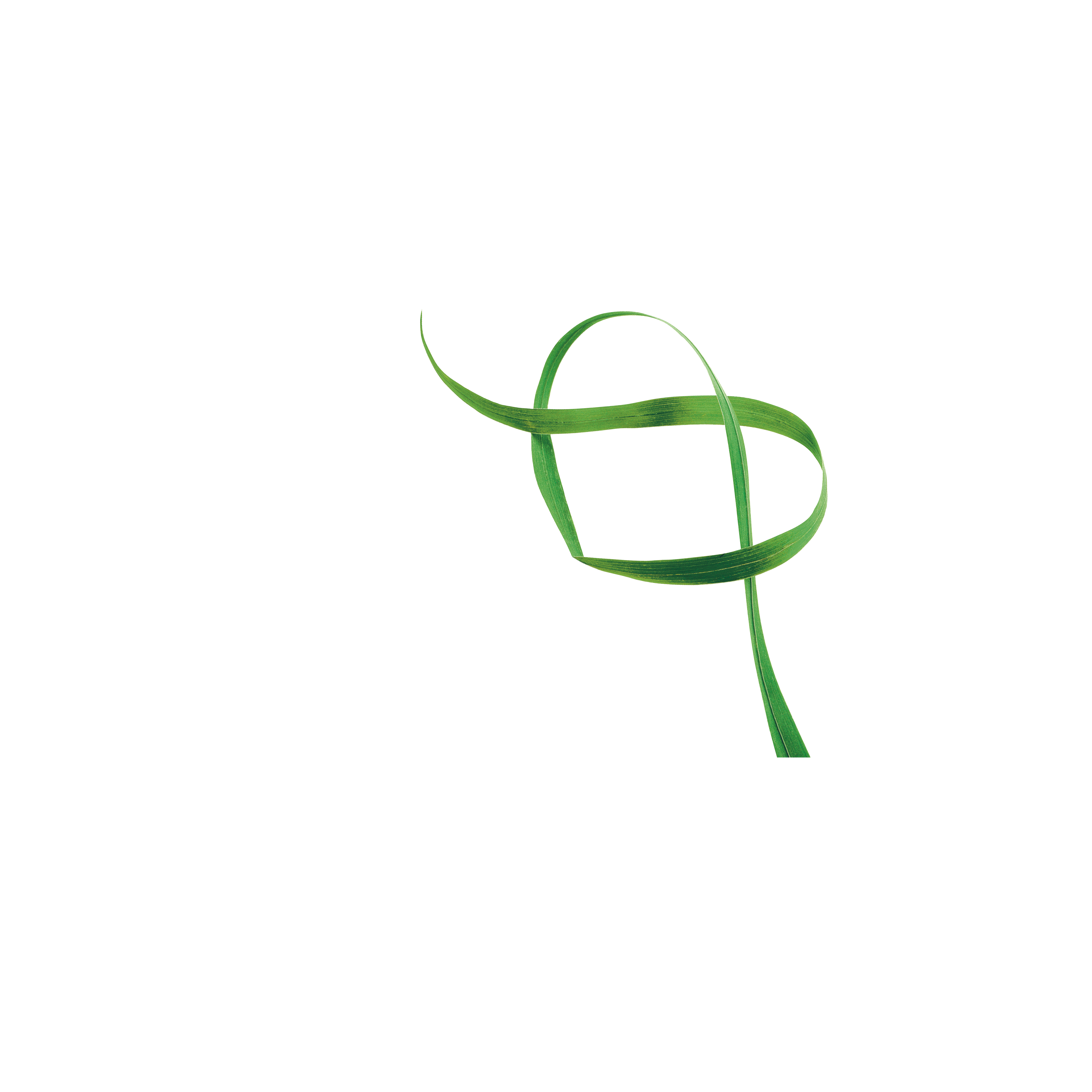 Salon de l'herbe et des fourrages : Mercredi 20 et jeudi 21 mai 2026 Poussay (88)
