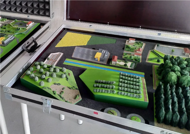 Domino de la biodiversité