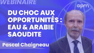 Business Résilience et Réinvention aux  Emirats Arabes Unis & Arabie Saoudite.