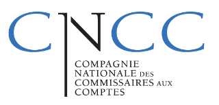 CNCC - COMPAGNIE NATIONALE DES COMISSAIRES AUX COMPTES