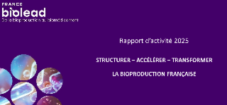 Rapport d'activités 2025
