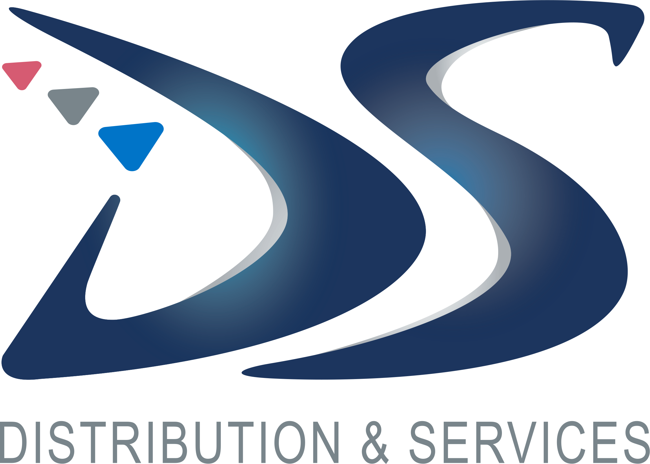 DS DISTRIBUTION (REVLON)