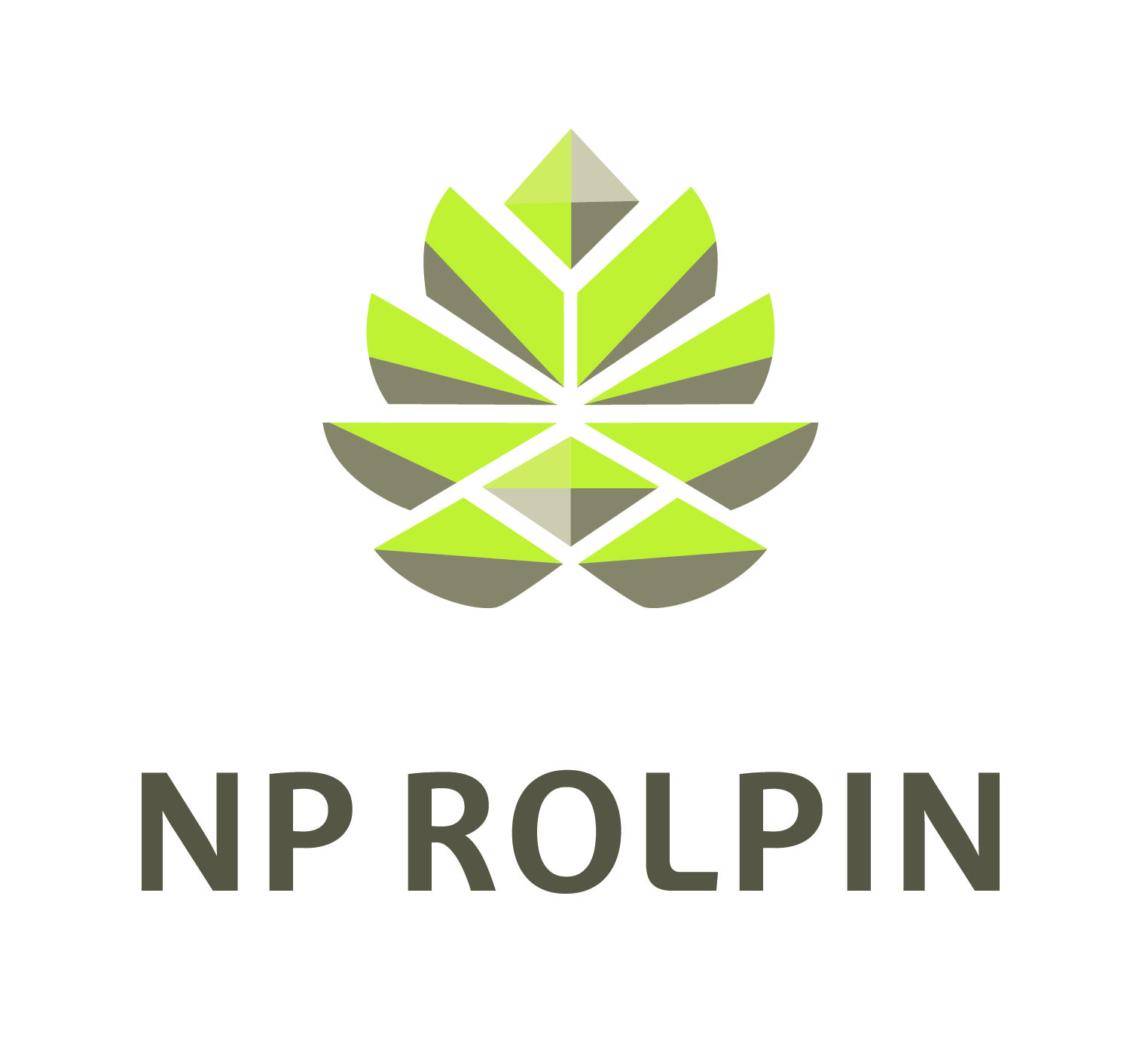 NP ROLPIN