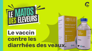 Le Matos des éleveurs l Le vaccin contre les diarrhées des veaux