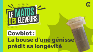 Le Matos des Eleveurs | Cowbiot, la bouse d'une génisse prédit sa longévité