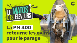 Le Matos des éleveurs l La PM 400 retourne les ovins pour le parage