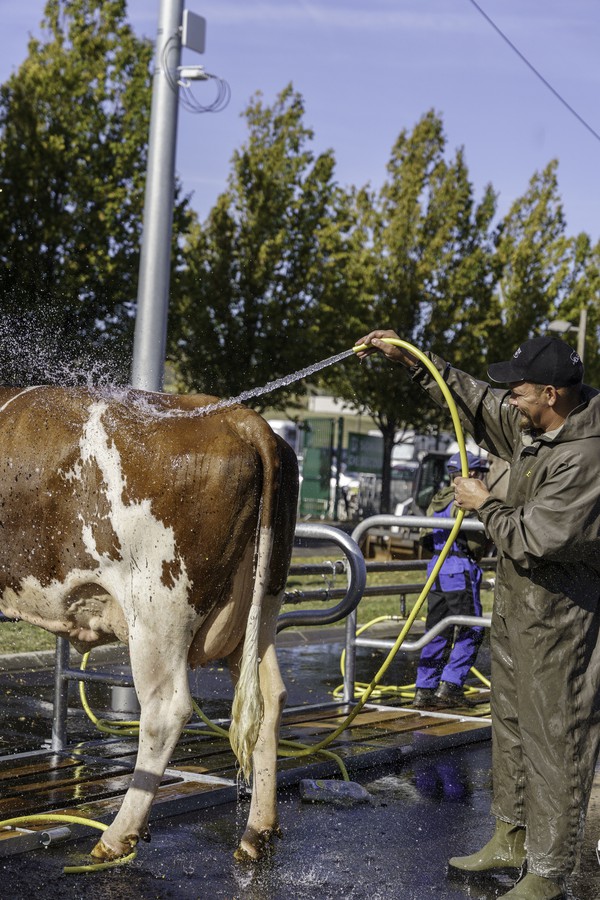 Rampes de lavage