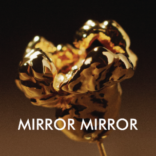 MIRROR MIRROR