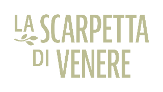 LA SCARPETTA DI VENERE