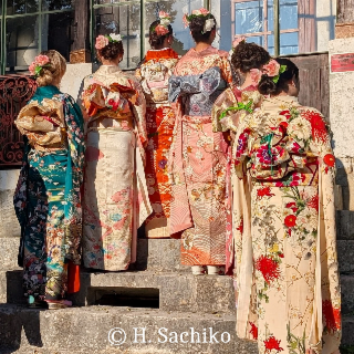 Présentations, Démonstration de Kitsuké en live et Défilé de Kimono