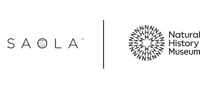 Vision of Nature : a scientific and cultural mixed reality co-production 