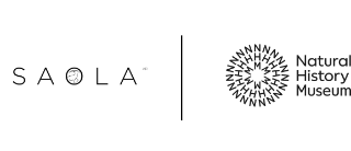 Vision of Nature : a scientific and cultural mixed reality co-production 