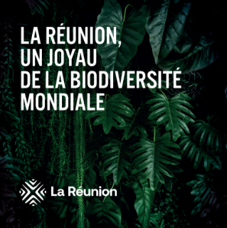 Brochure Cosmétique/Biodiversité