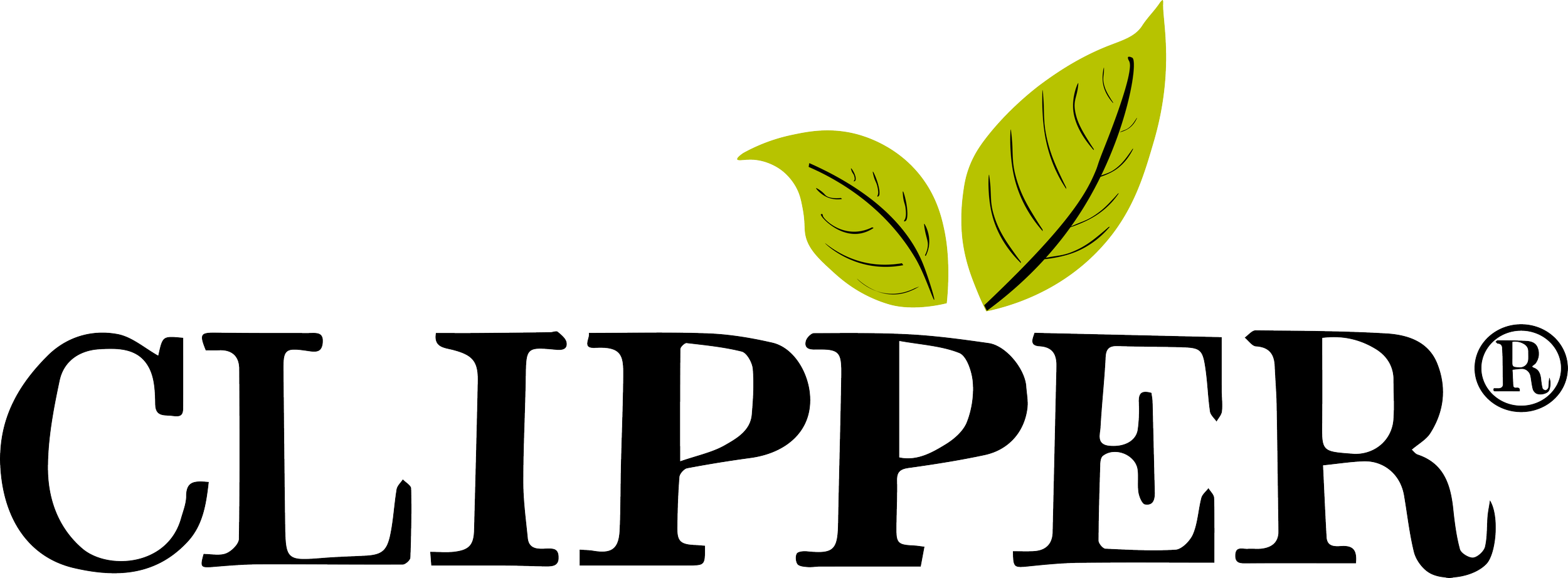 Clipper