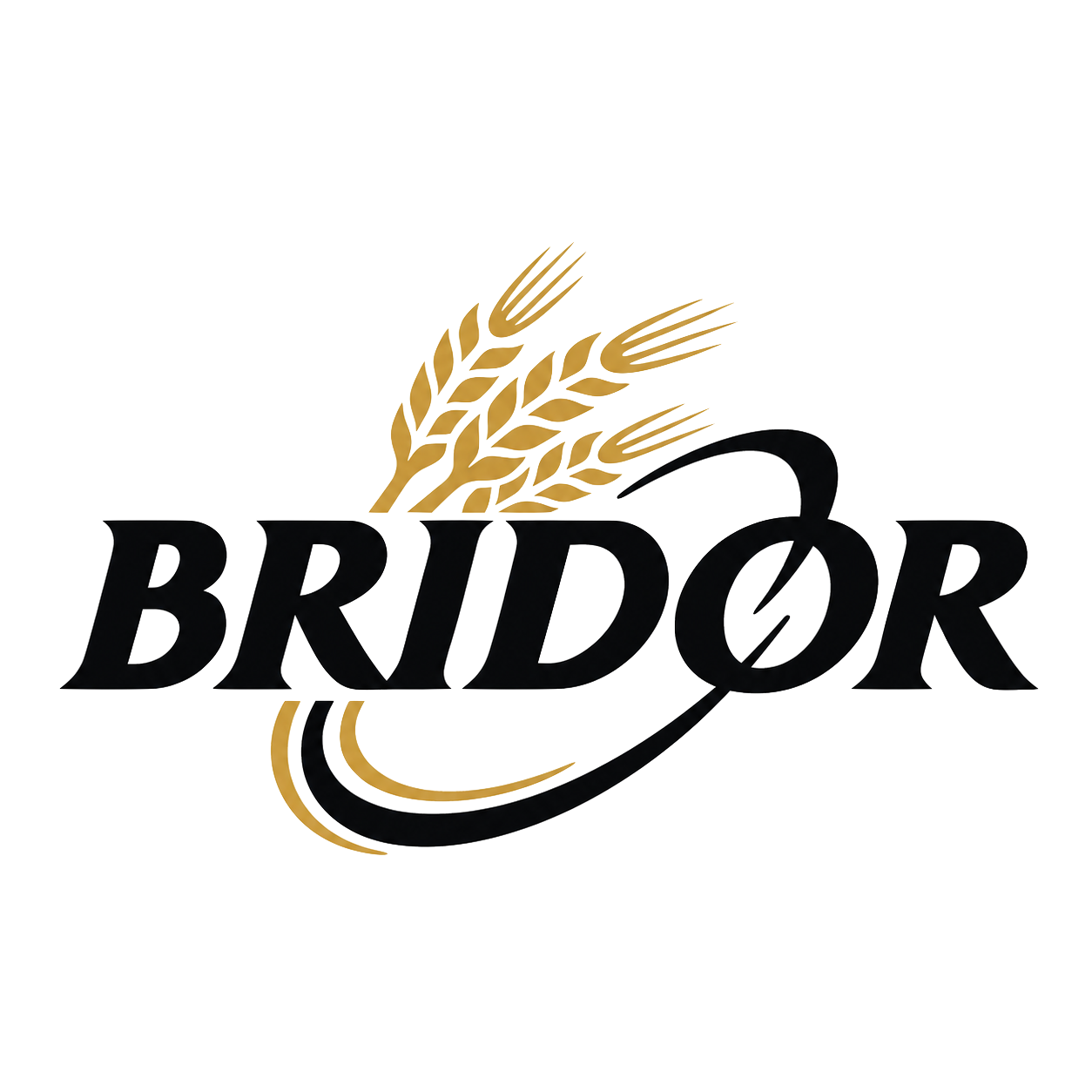 BRIDOR