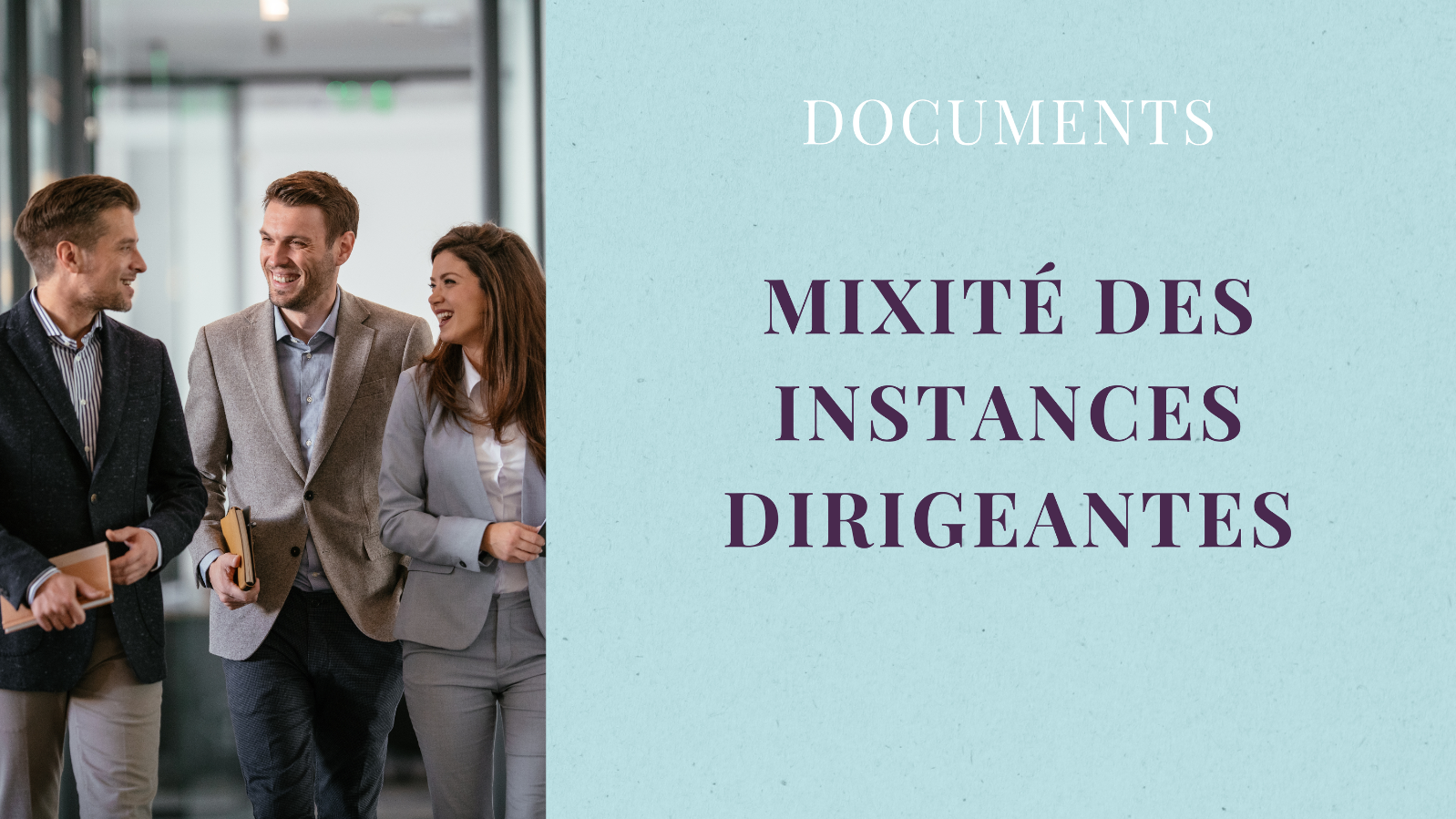 Mixité des instances dirigeantes